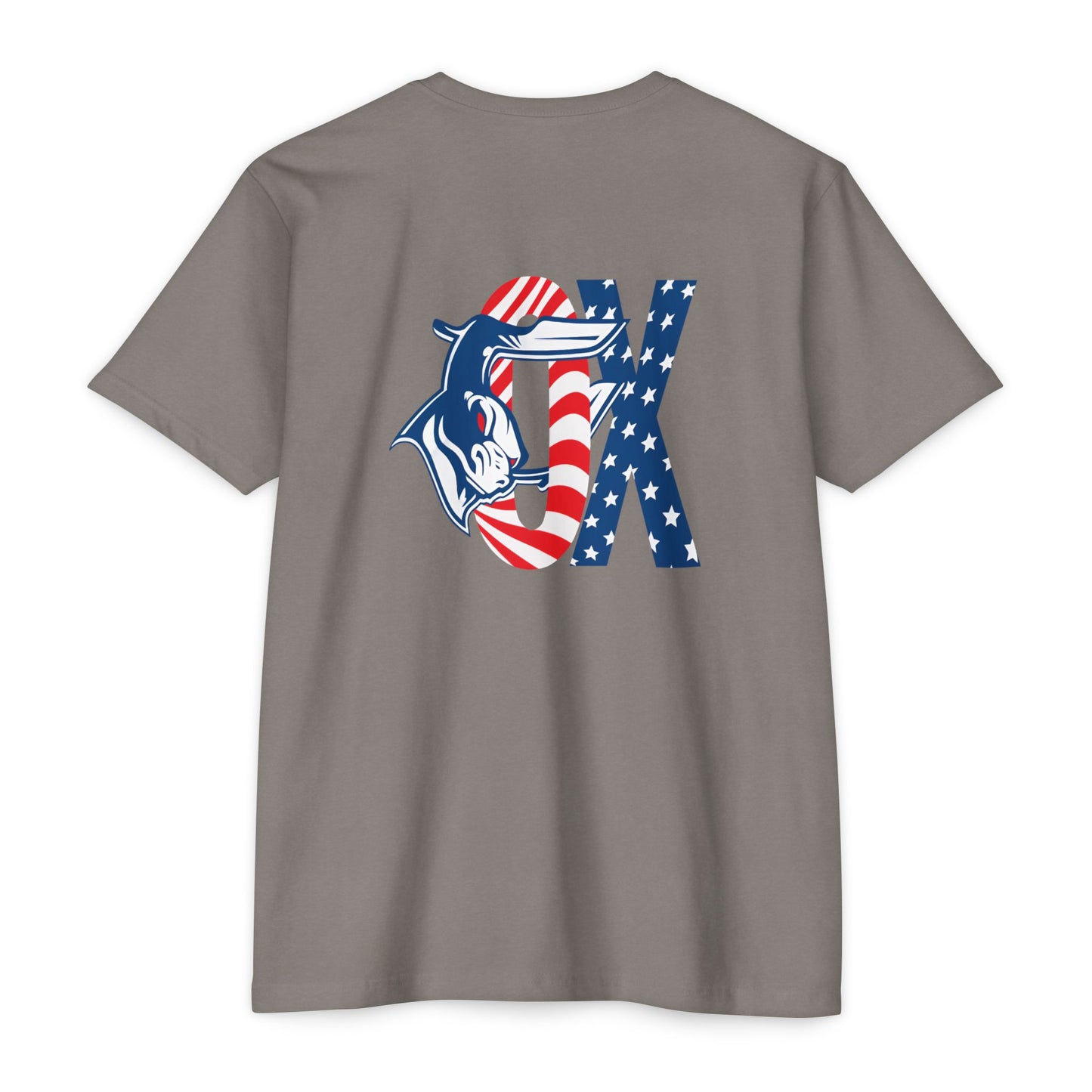 Authentic Always Unisex CVC Jersey T-shirt, Casual Tee, Graphic Shirt, Patriotic Top, Summer Outfit, Gift for Friends